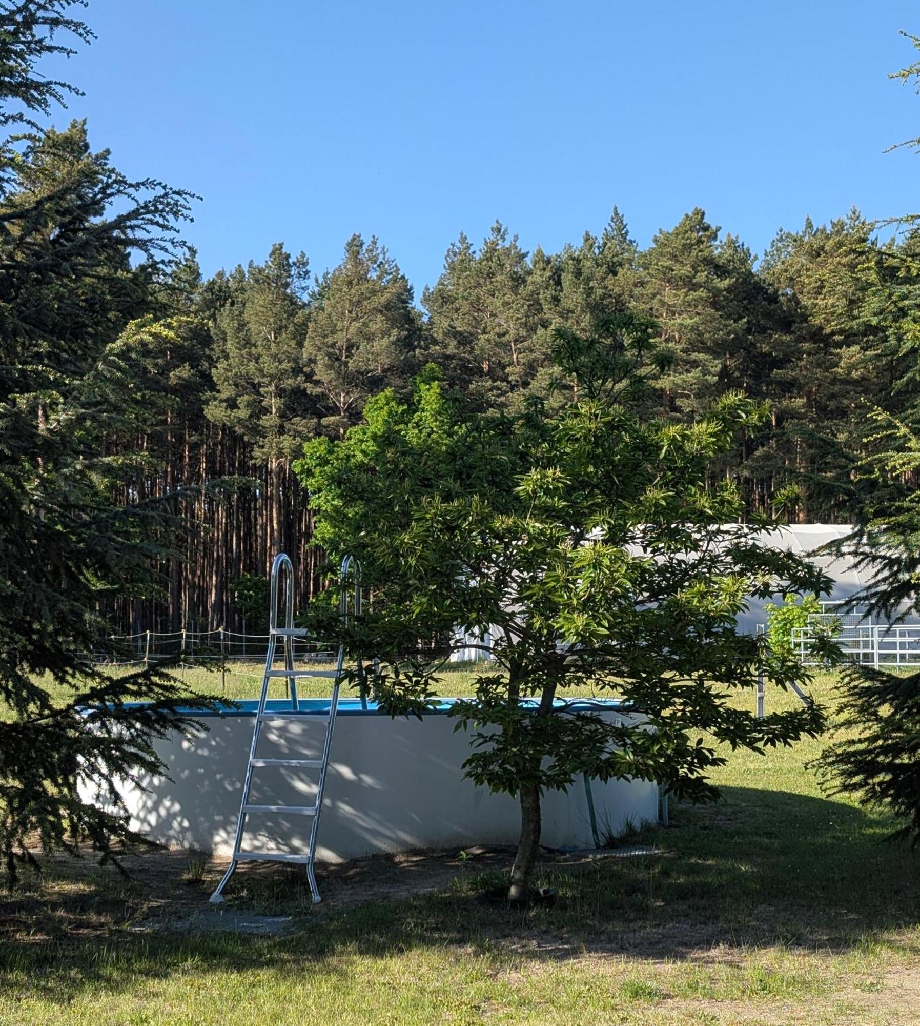 Pension Zum Reiterhof, Fewo 2 Schmogrow Exterior photo